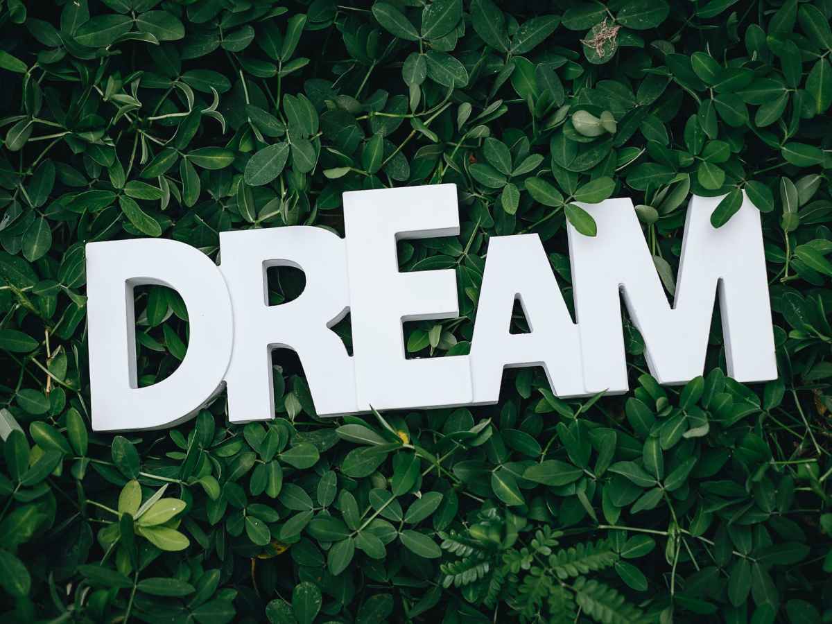 Image of letters spelling 'DREAM' on leaves.