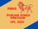 Punjab Kings Preview Banner